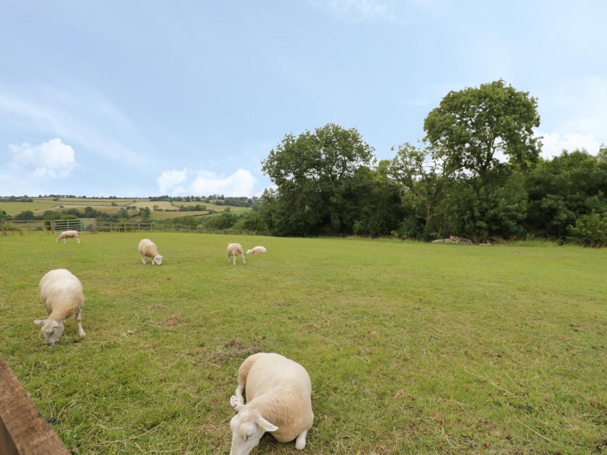 Holmer Farm レオミンスター エクステリア 写真
